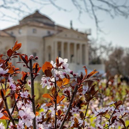 Appartamentopalladio140 Vicenza Eksteriør billede
